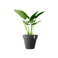 pure round 100cm anthracite